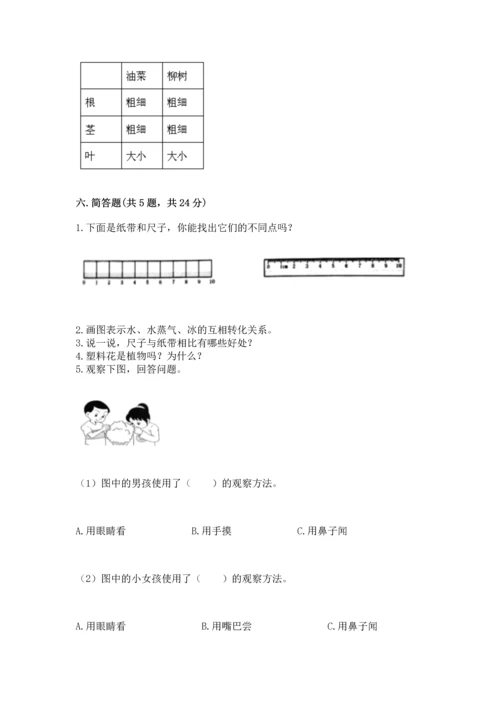 教科版一年级上册科学期末测试卷带答案.docx