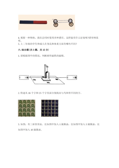 教科版二年级下册科学期末测试卷【网校专用】.docx