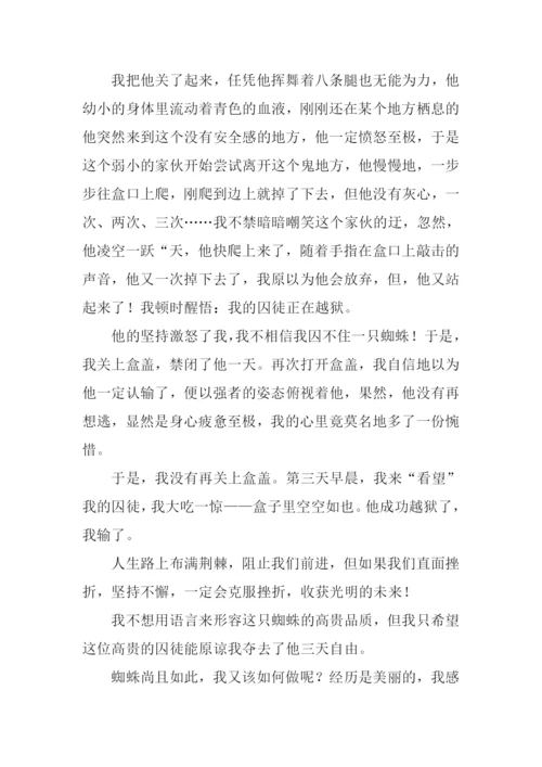 写事的记叙文700字.docx