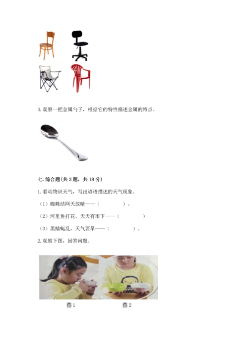 教科版二年级上册科学期末测试卷精品【基础题】.docx