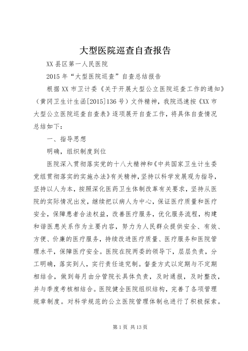 大型医院巡查自查报告.docx