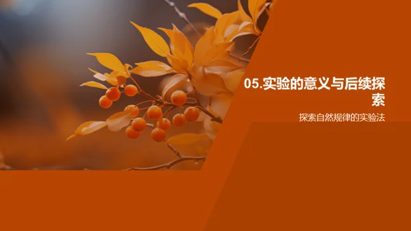 秋分之谜科学探索