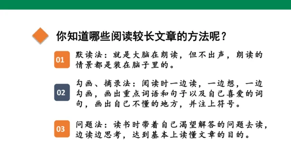 人教版语文四年级下册第六单元 语文园地六 课件