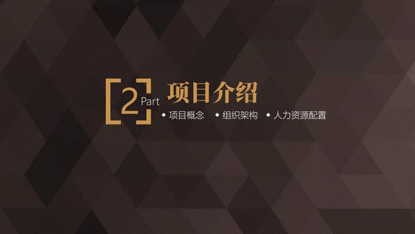 轻奢质感商业项目计划书通用PPT模板