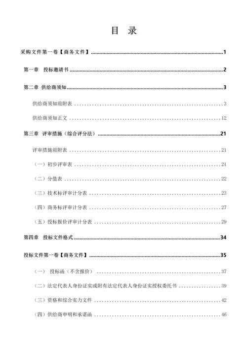 城区安全饮水工程PPP项目采购招标文件模板.docx