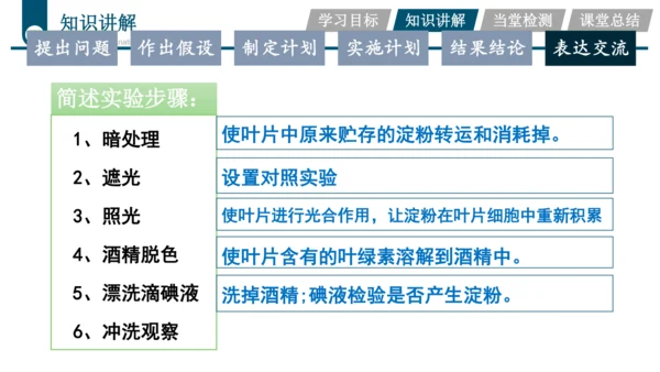 3.3.4  绿色植物是生物圈中有机物的制造者  课件-2023-2024学年人教版生物七年级上册(