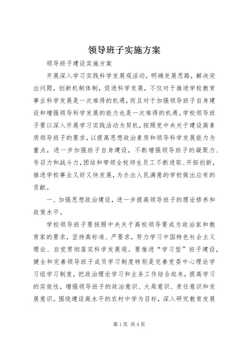 领导班子实施方案 (3).docx