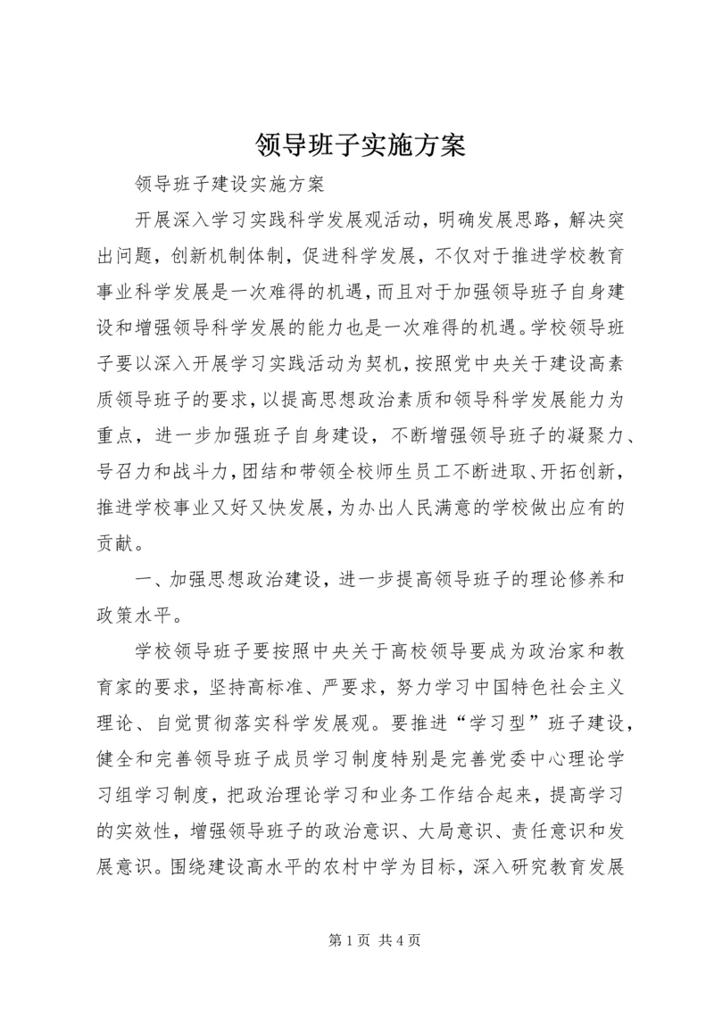 领导班子实施方案 (3).docx