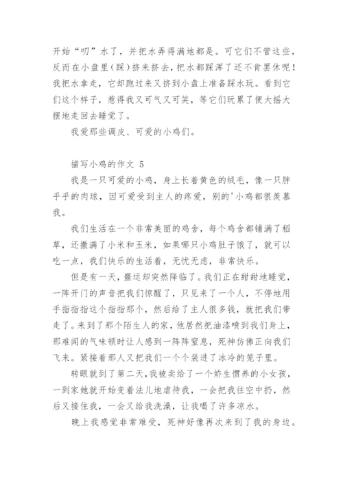 描写小鸡的作文.docx