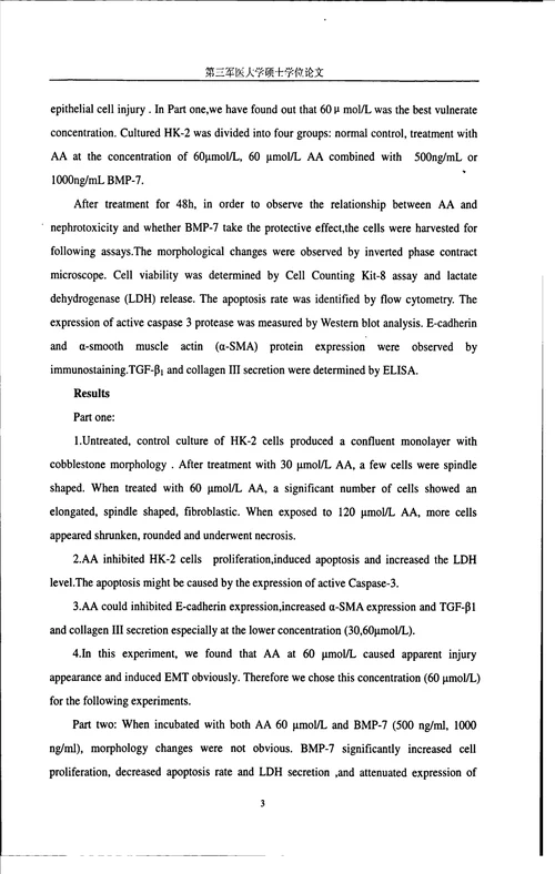 bmp7对马兜铃酸致人肾小管上皮细胞损伤的保护作用研究