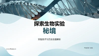 探索生物实验秘境