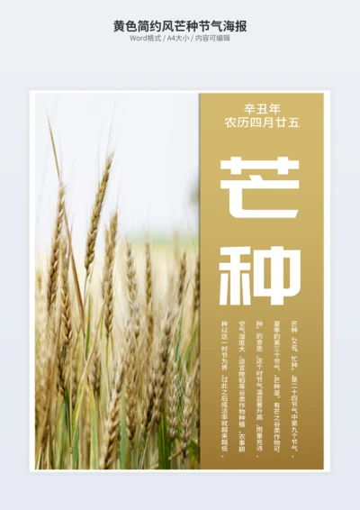 黄色简约风芒种节气海报