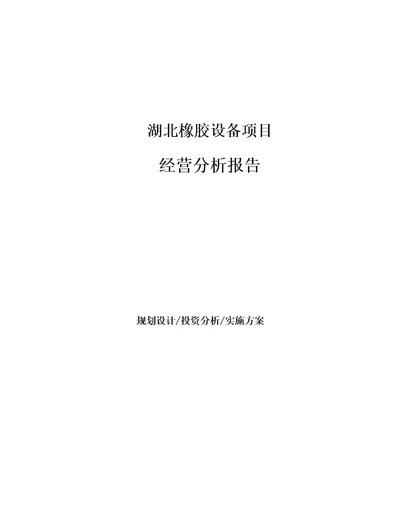 湖北橡胶设备项目经营分析报告