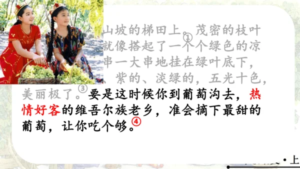 11 葡萄沟   公开课   课件