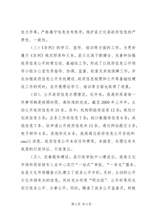 县政府信息公开工作的汇报.docx