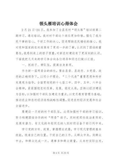 领头雁培训心得体会 (2).docx