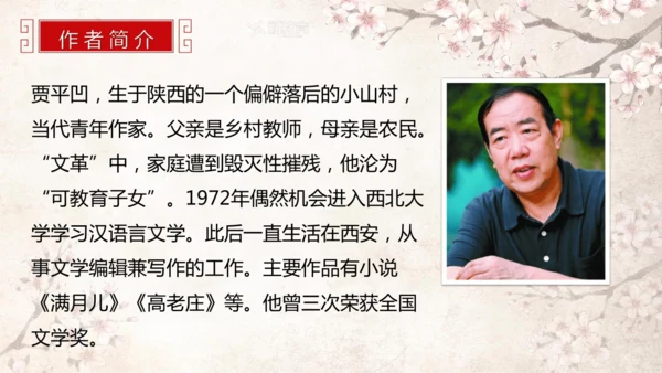 第19课 一棵小桃树 课件(共24张PPT)