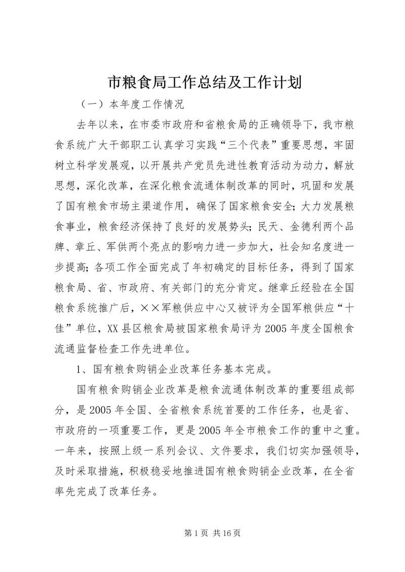 市粮食局工作总结及工作计划 (3).docx