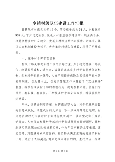乡镇村级队伍建设工作汇报.docx