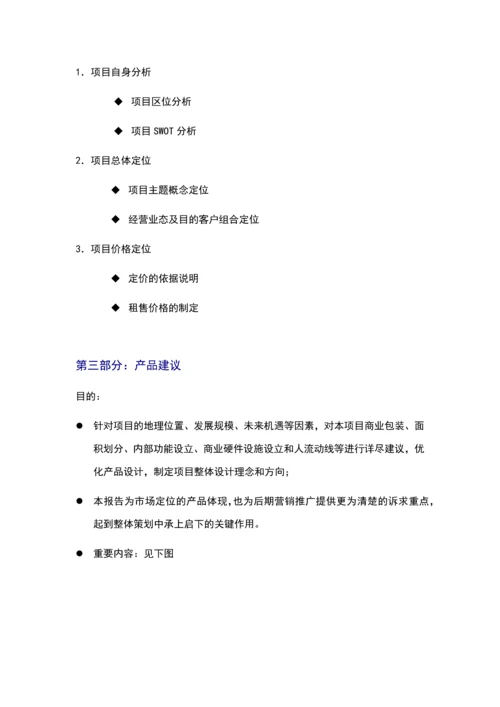 商业地产项目代理策划方案.docx