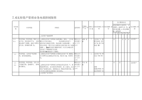 无形资产管理业务控制矩阵