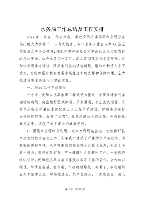 水务局工作总结及工作安排精编.docx