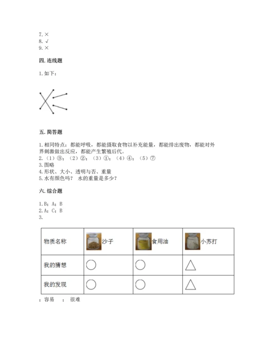 教科版一年级下册科学期末测试卷精品【网校专用】.docx