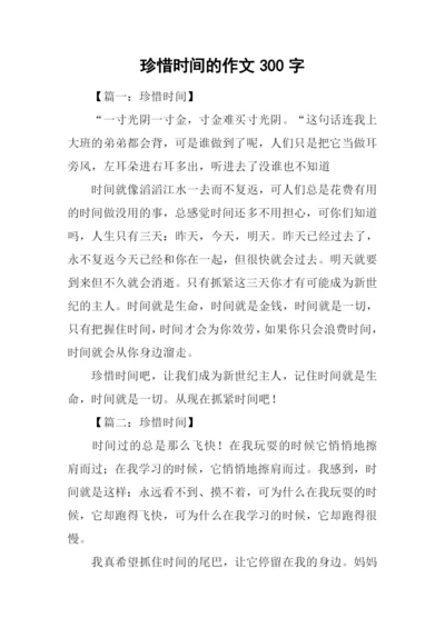 珍惜时间的作文300字.docx