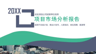 项目市场分析报告通用PPT模板