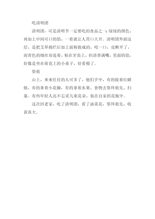 清明见闻作文400字.docx