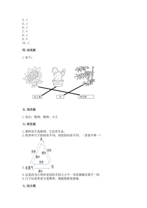 教科版一年级上册科学期末测试卷含完整答案【全国通用】.docx