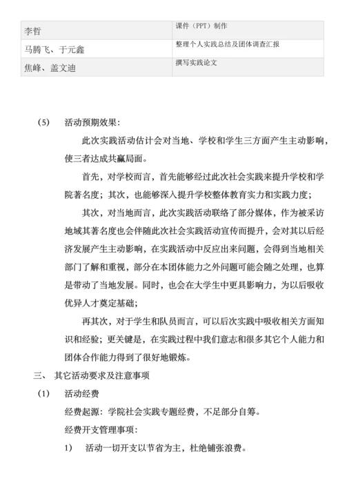 团队社会实践活动具体实施专业方案.docx