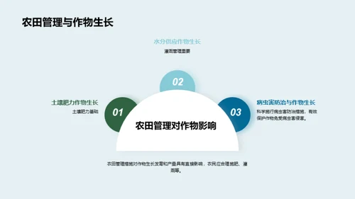 绿色突破：农业科技革新