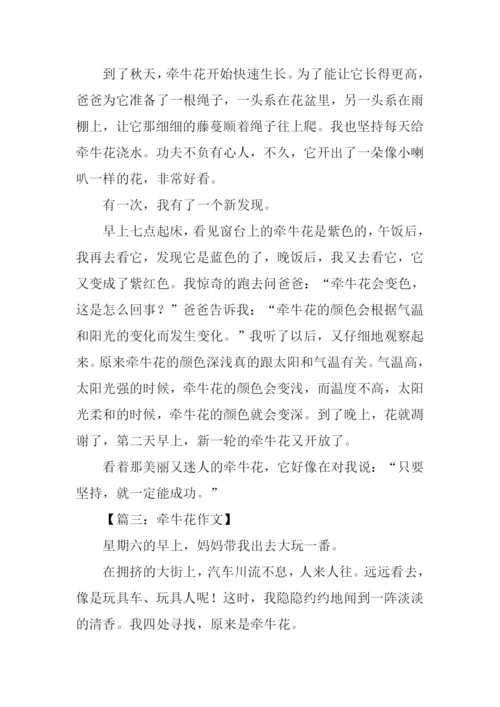 牵牛花的作文400字.docx