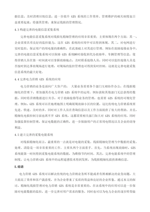 线损精细化管理在电力营销GIS系统中的应用分析.docx