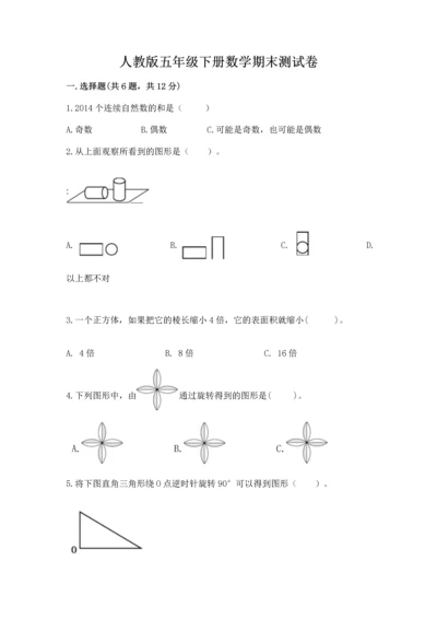 人教版五年级下册数学期末测试卷a4版打印.docx