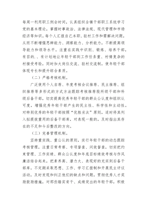 年轻干部培养选拔和使用的管理方案.docx