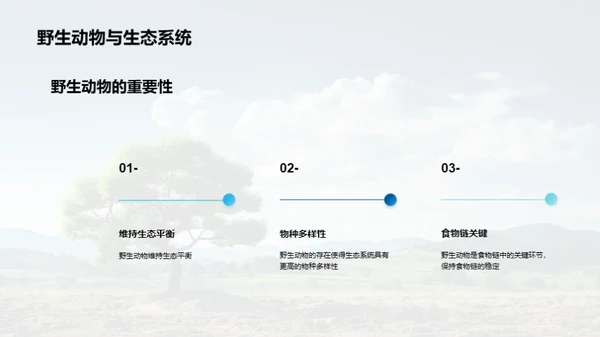 拯救地球：行动路线