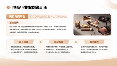 茶色商务风电商行业案例说明页