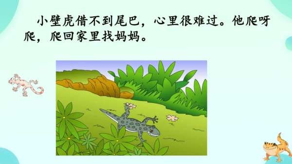 20 小壁虎借尾巴 课件