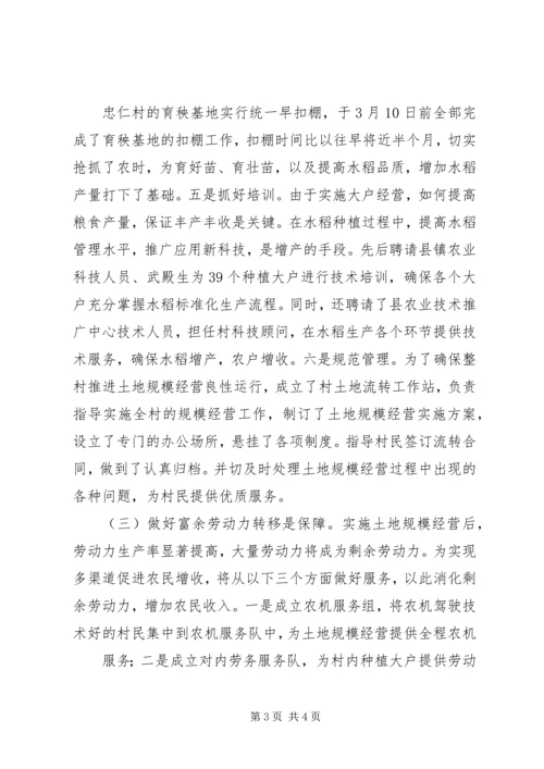 土地规模经营汇报 (2).docx