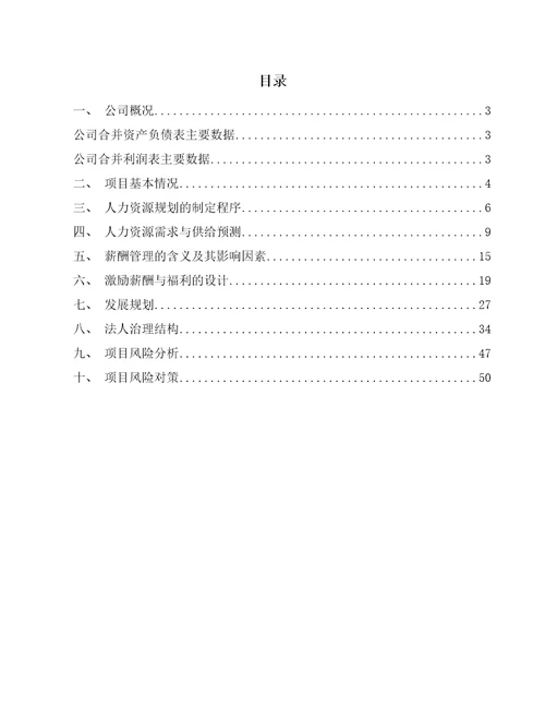 航空运动装备公司人力资源规划与薪酬管理