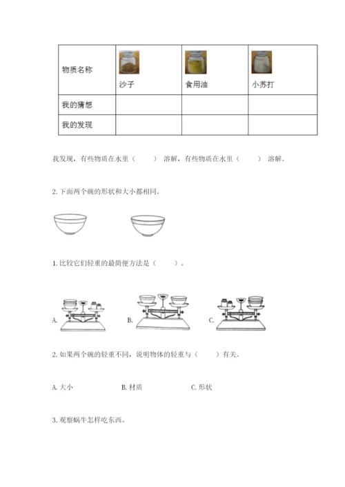 教科版一年级下册科学期末测试卷【考点提分】.docx