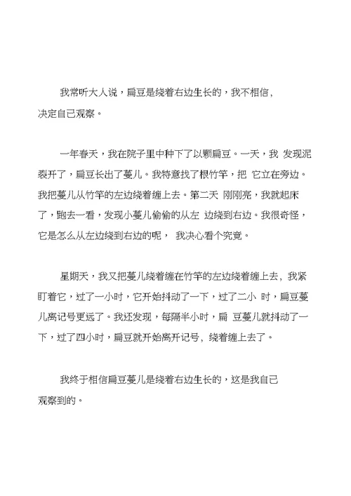 我发现了作文300字