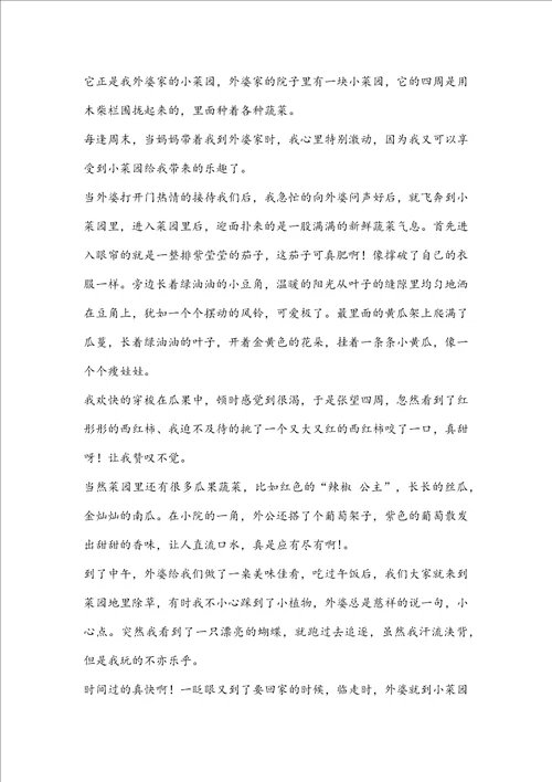 我的乐园作文菜园7篇