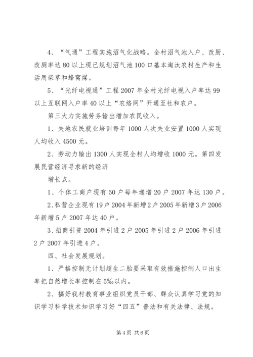 村全面建设小康社会发展规划 (4).docx