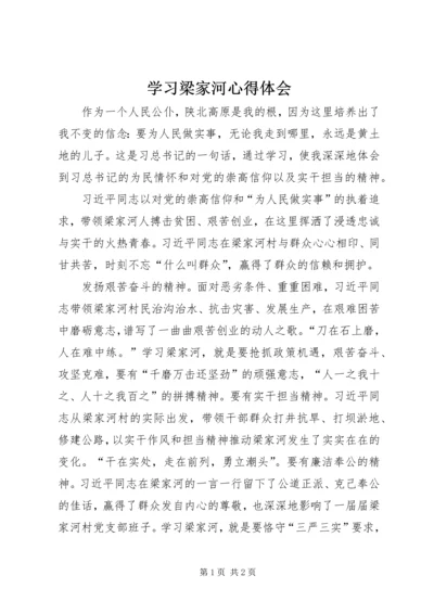 学习梁家河心得体会精编.docx