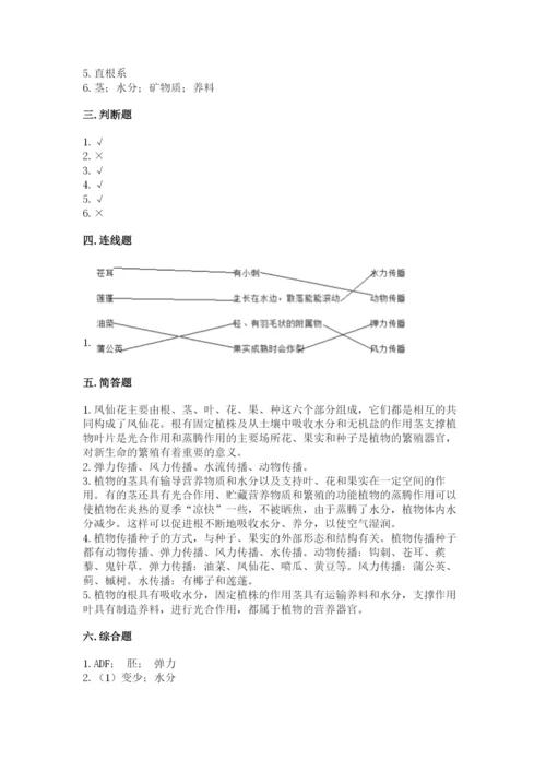 科学四年级下册第一单元植物的生长变化测试卷【原创题】.docx