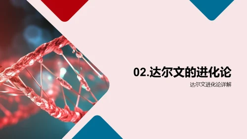 探索生物演化秘密