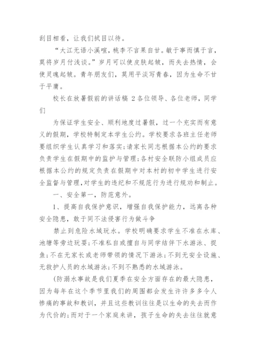 校长在放暑假前的讲话稿.docx